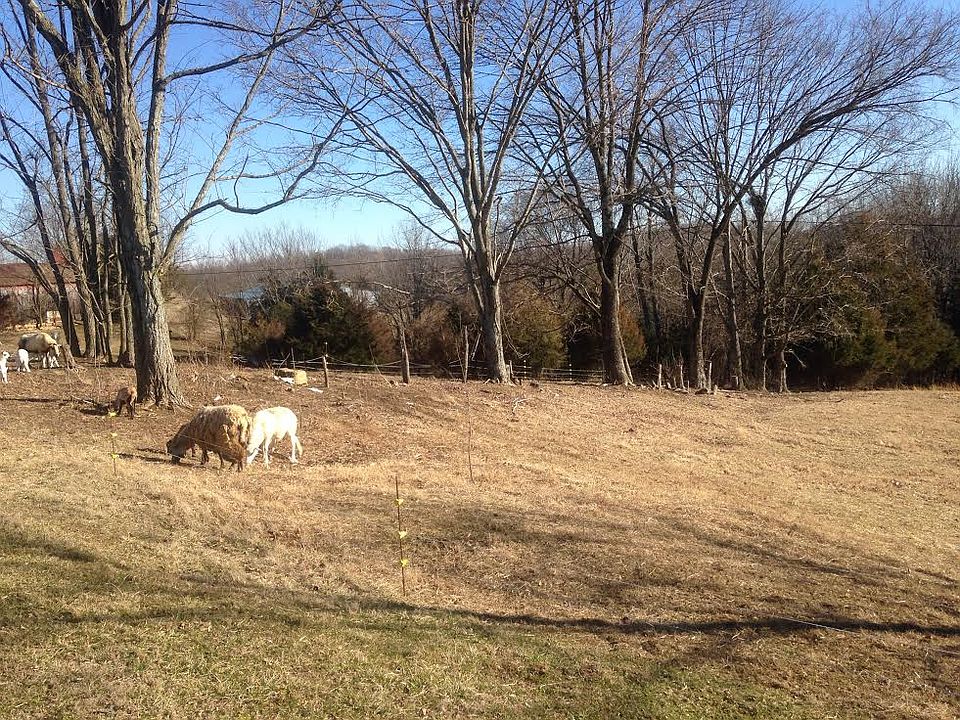 2nd image of Keltnertown Rd.
