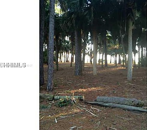 4th image of 12 Palmetto Point Dr