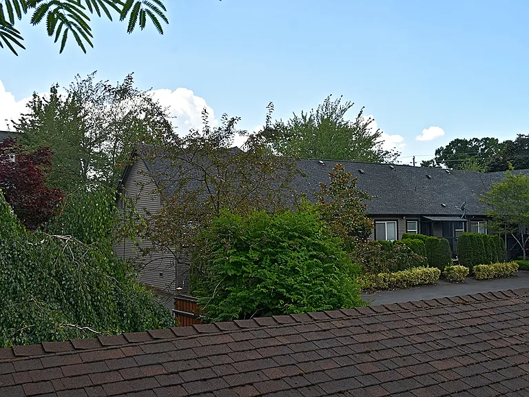 713B 27th Ave — Photo 15