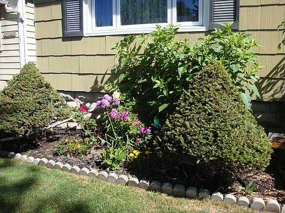 Beautiful front garden