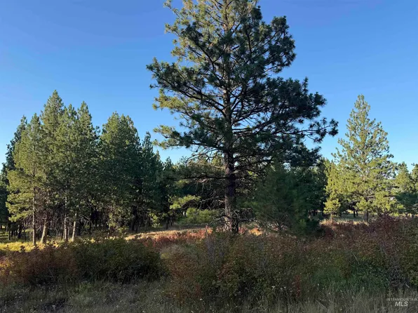 Harlow Ridge Road Cloverland Ests #26, Asotin, WA 99402