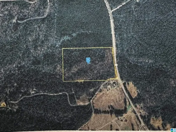 4155 Germanys Ferry Rd #0, Daviston, AL 36256