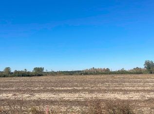 Joyner Swamp Rd LOT 5, Galivants Ferry, SC 29544