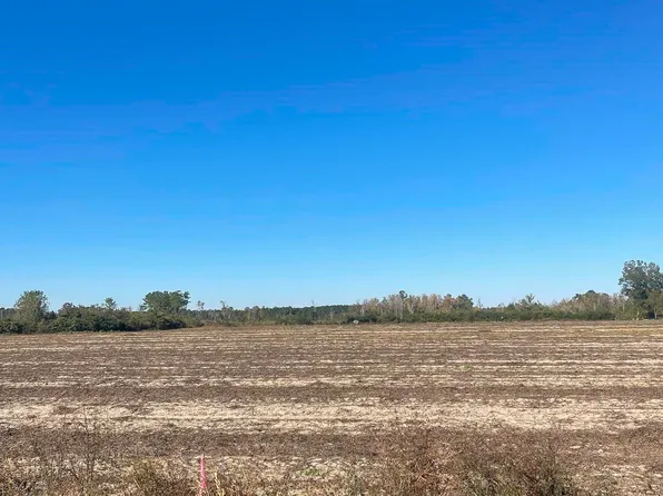 TBD Joyner Swamp Rd. Lot 5, Galivants Ferry, SC 29544