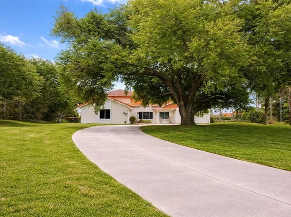 12624 Lake Denise Blvd, Clermont, FL 34711