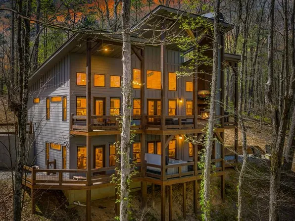 129 Bushy Head Rd, Cherry Log, GA 30522