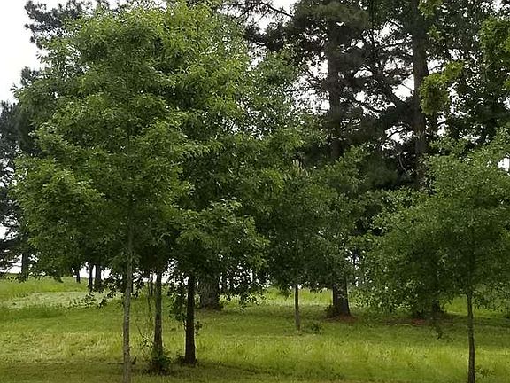 5th image of 42 Private Road 52320