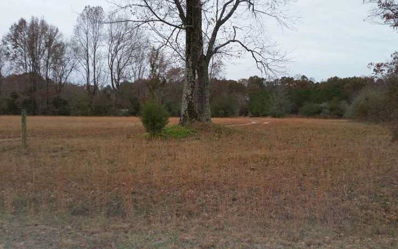 2nd image of 255 Red Oak Dr