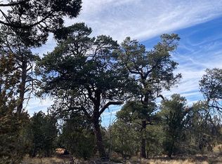 91 Ranch Rd #78-8145, Concho, AZ 85924