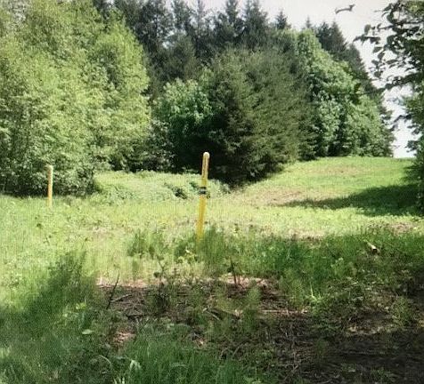3rd image of 12901 NE 182nd Ave