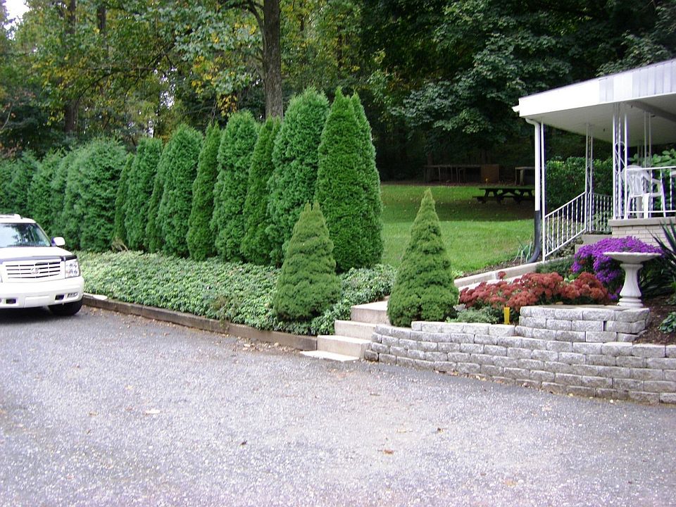 Driveway/Private Yard