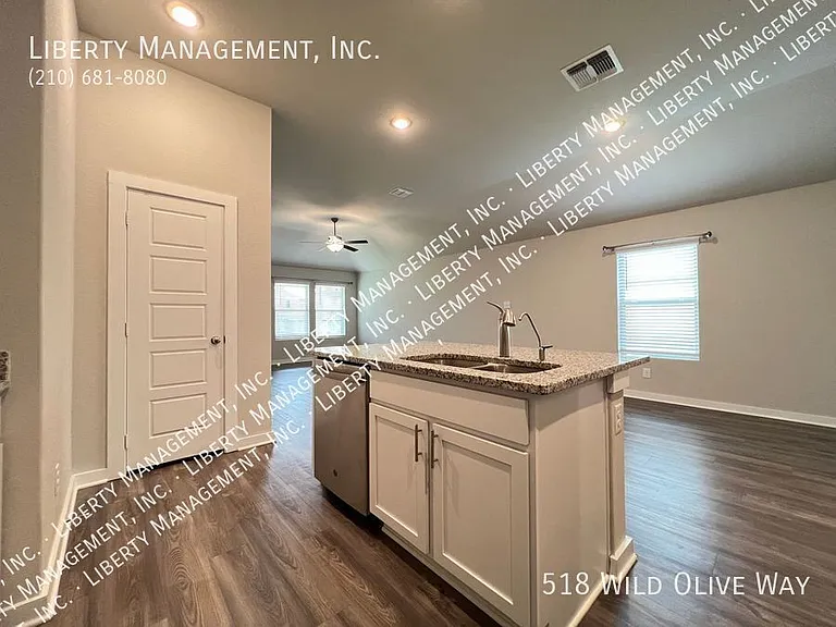 518 Wild Olive Way — Photo 8