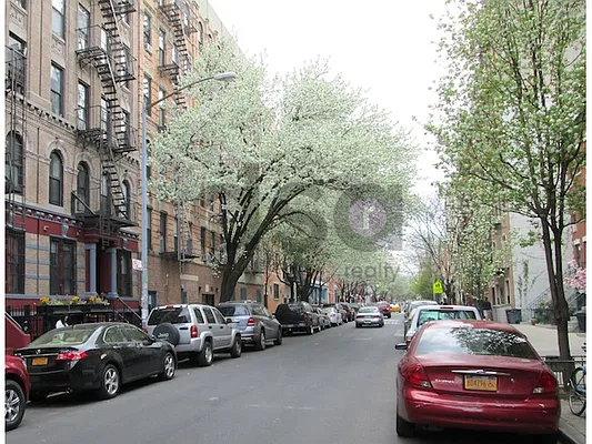 Rented by DSA Realty | media 30