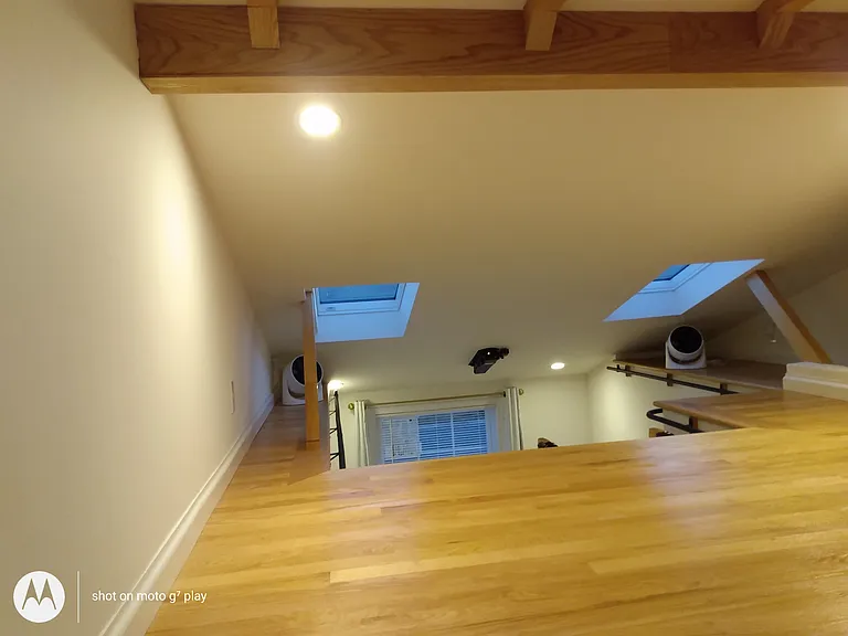 6644 Dovecote Dr — Photo 21