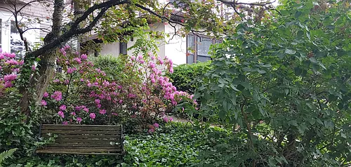 499 Park Ave #505 Photo 1 499 Park Ave #505 Photo 1