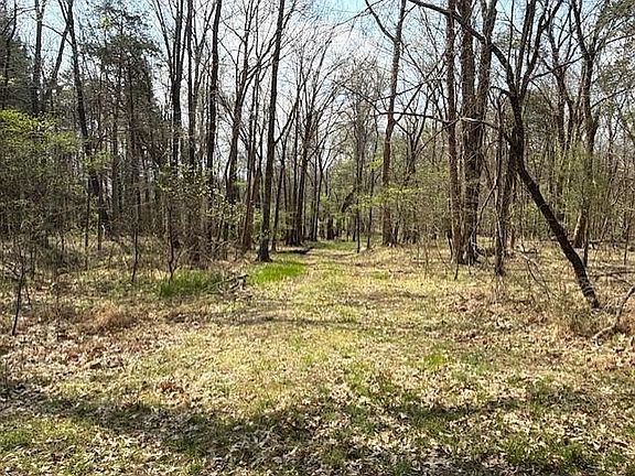 4th image of 0 Milligan Campground Rd