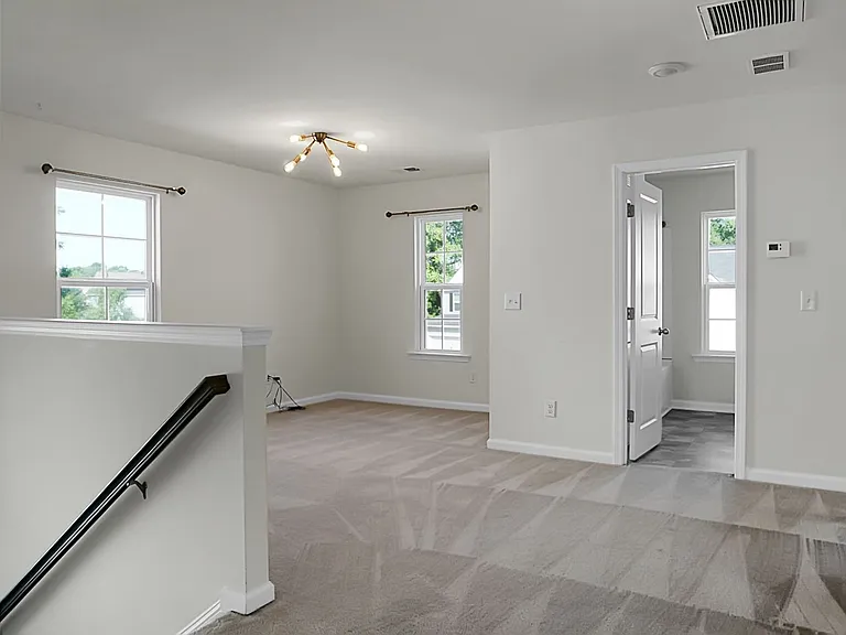 215 Catawba Branch Way — Photo 22