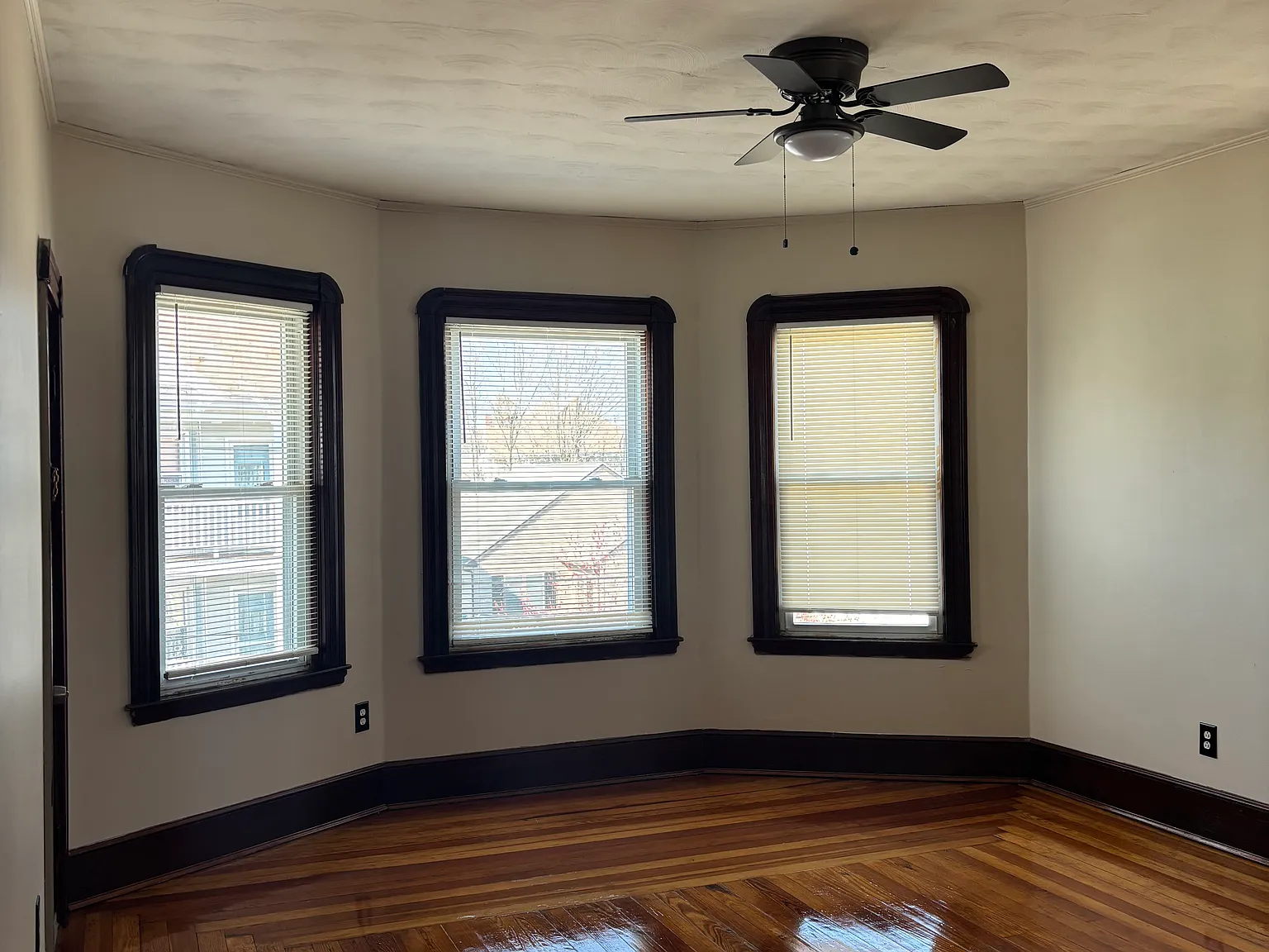 210 Whitman St — Photo 3