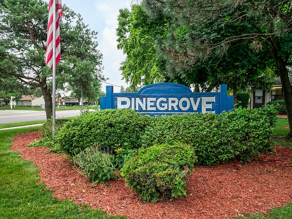 Pinegrove