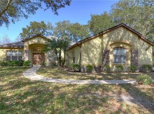 4202 Misty Grove Ct, Brandon, FL 33511