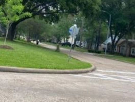 Exterior Neighborhood (street photo)