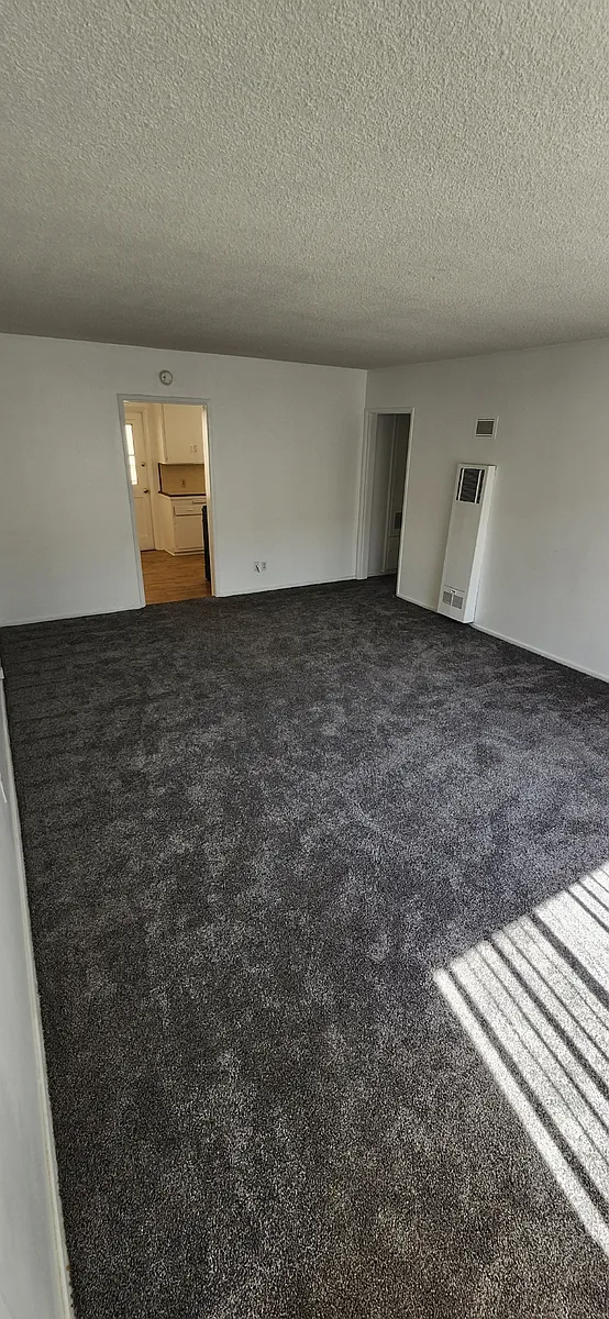Living Room - 209 E Ivy Ave #3