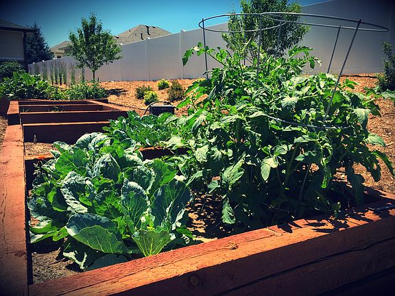 Community Garden
