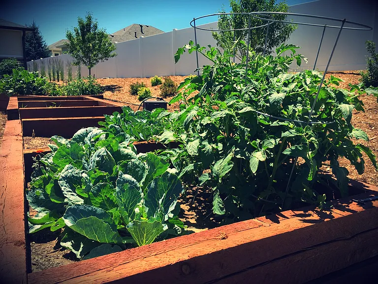 Community Garden