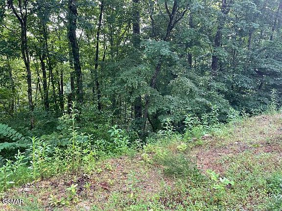 5th image of 3407 Covemont Ln