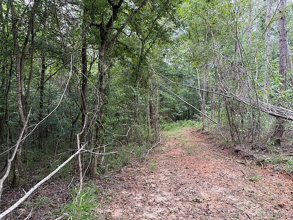 5th image of 0 County Road 199