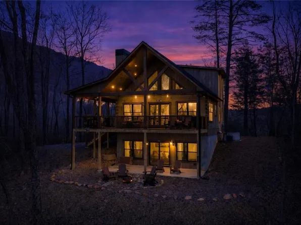 447 Pig Trl, Cherry Log, GA 30522