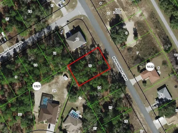 8172 N Merrimac Way, Citrus Springs, FL 34434
