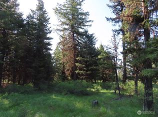 383 Pontiac Ridge Rd, Oroville, WA 98844