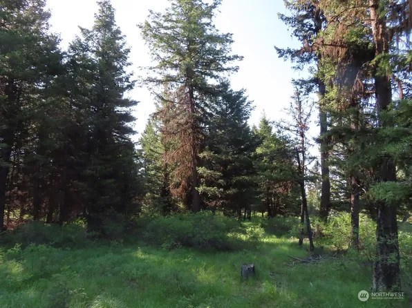 383 Pontiac Ridge Road, Oroville, WA 98844