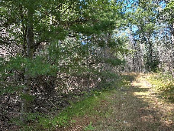 5th image of 5879 Conifer Ln