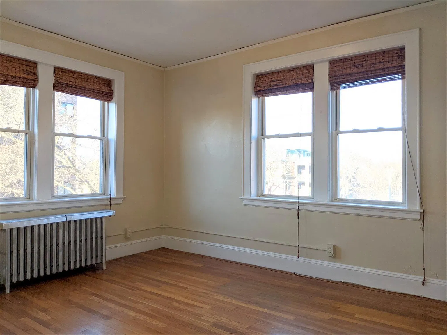 1 bed, 650 sqft, $2,800 — Photo 2