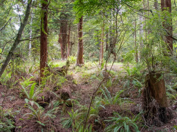 32100 Forest Ln, Fort Bragg, CA 95437