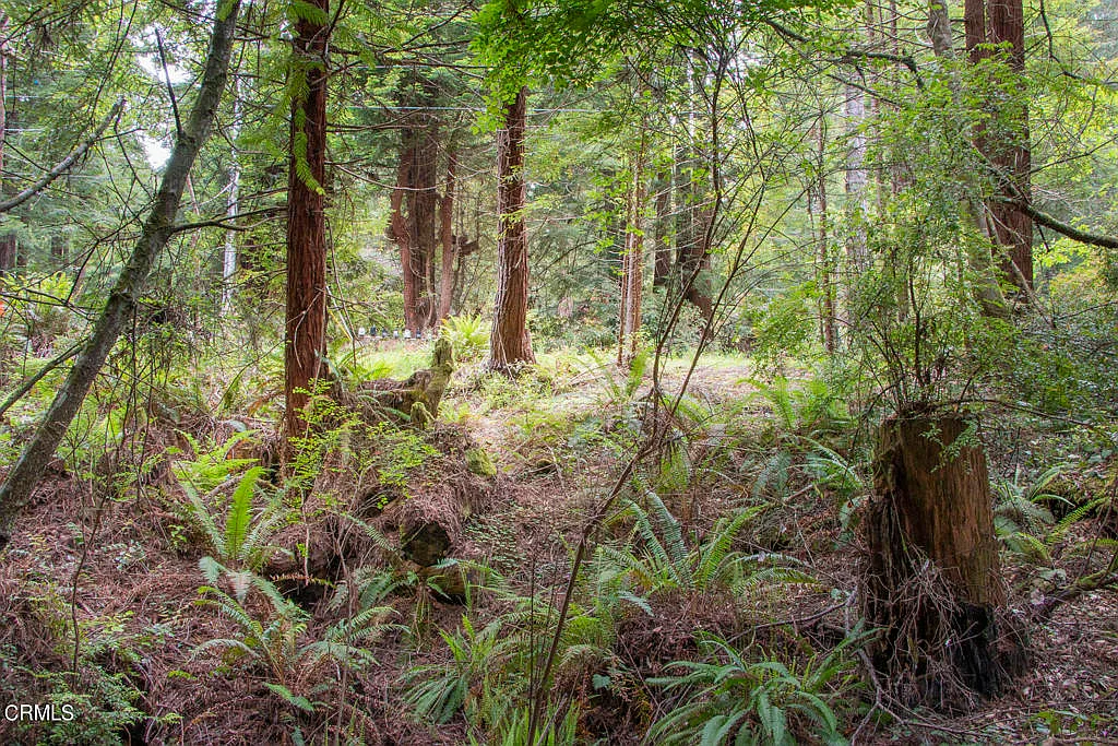 32100 Forest Ln photo 1