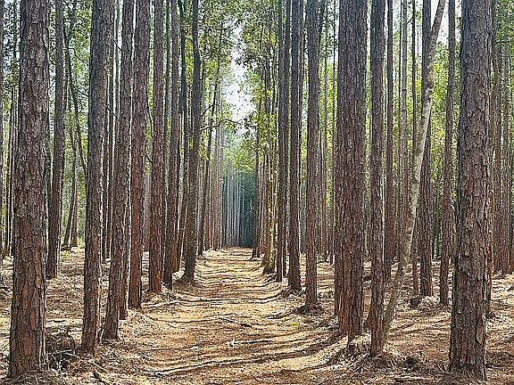 4th image of River Rd