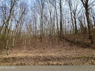 6110 Get Good Hollow Rd, Loudon, TN, 37774