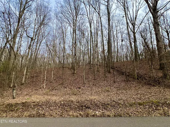 6110 Get Good Hollow Rd, Loudon, TN 37774