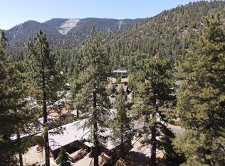 838 Mountain View Ave, Wrightwood, CA 92397