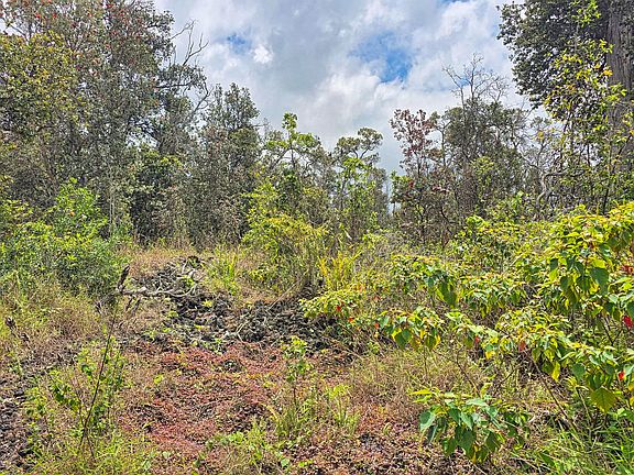 5th image of Orchid Pkwy Lot 18