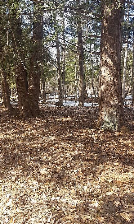 2nd image of 215TH Avenue