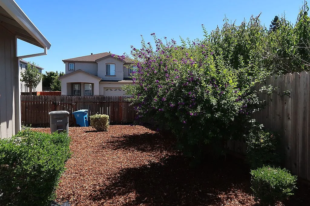 701 Deerfield Dr - Photo 11