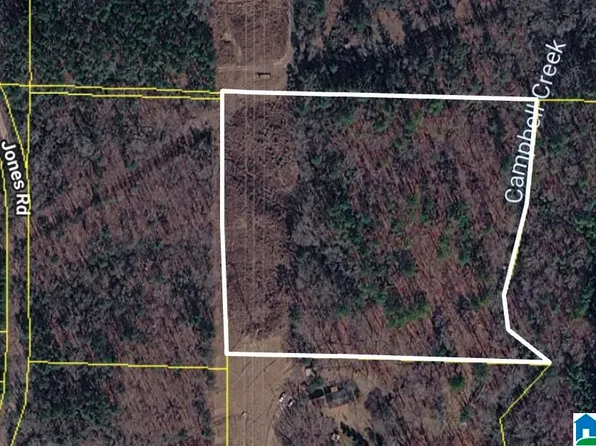 8553 Jones Rd #1, Dora, AL 35062