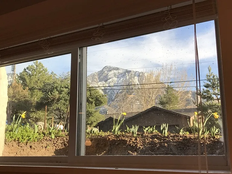 3415 E Millcreek Canyon Rd — Photo 22
