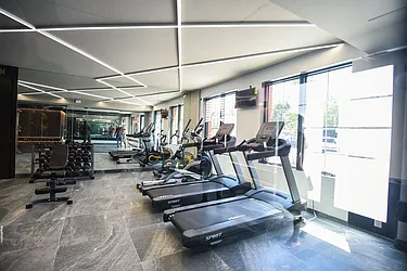 Rented by Chai Star LLC