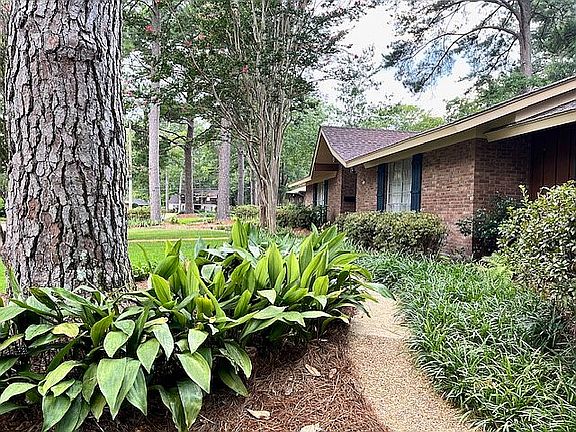 Walkway from driveway