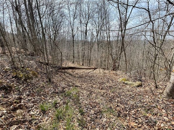0 Wade Adkins Branch Rd, Kiahsville, WV 25534